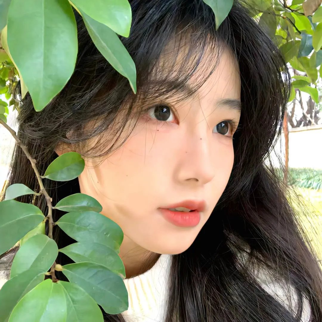 伪装者